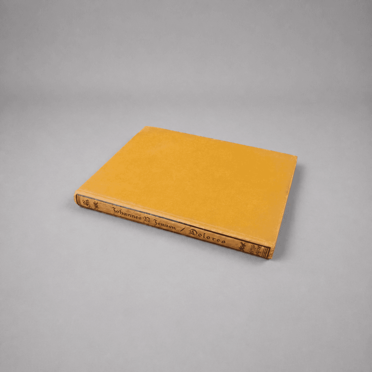Johannes V. Jensen Dolores book — Photo 1