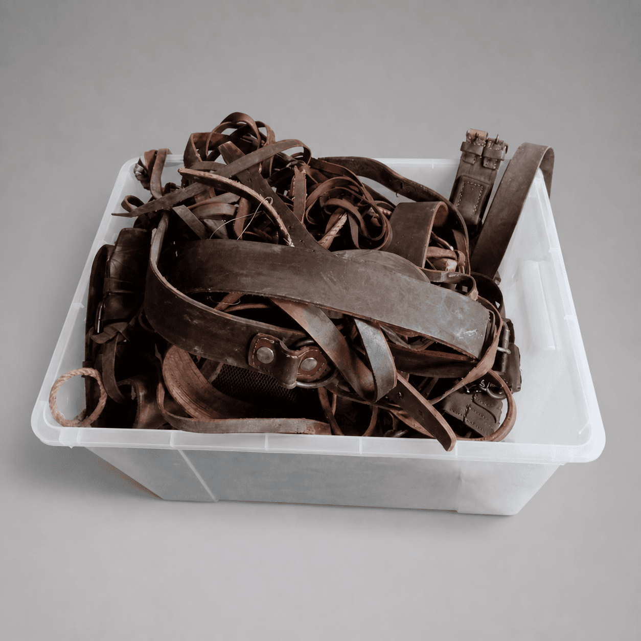 Collection of leather straps and belts — Photo 1